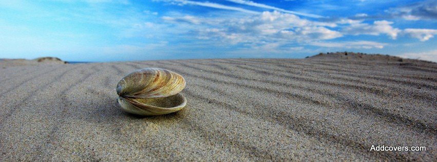 Shell on the Sand {Scenic & Nature Facebook Timeline Cover Picture, Scenic & Nature Facebook Timeline image free, Scenic & Nature Facebook Timeline Banner}