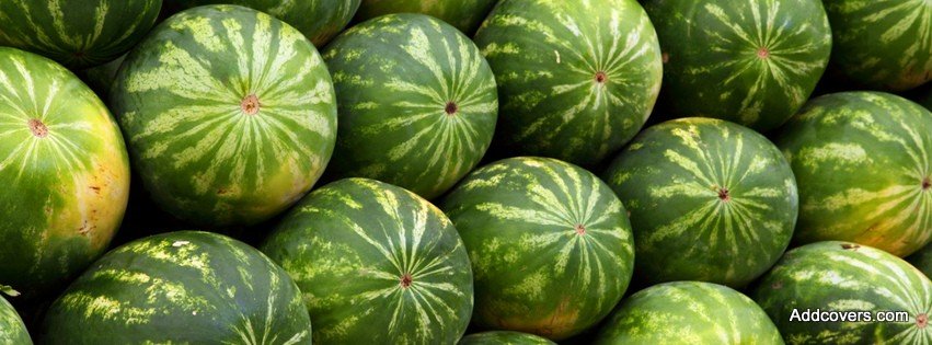 Watermelon {Food & Candy Facebook Timeline Cover Picture, Food & Candy Facebook Timeline image free, Food & Candy Facebook Timeline Banner}