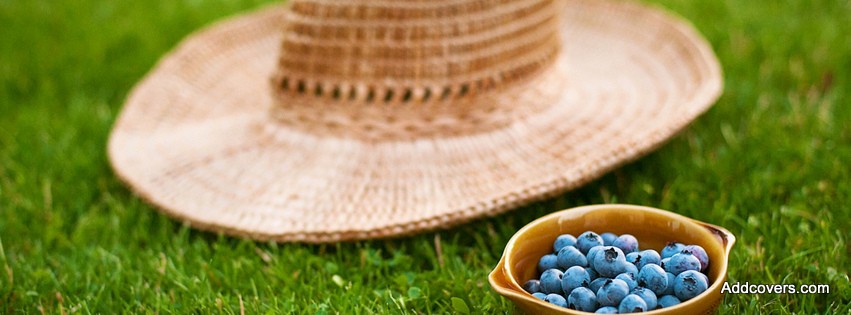 Straw Hat and Blueberry {Food & Candy Facebook Timeline Cover Picture, Food & Candy Facebook Timeline image free, Food & Candy Facebook Timeline Banner}