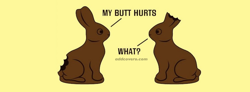 Funny Easter Bunnies {Holidays Facebook Timeline Cover Picture, Holidays Facebook Timeline image free, Holidays Facebook Timeline Banner}