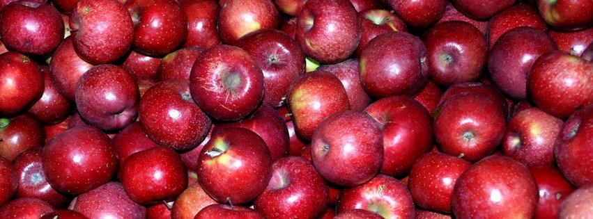 Red Apples {Food & Candy Facebook Timeline Cover Picture, Food & Candy Facebook Timeline image free, Food & Candy Facebook Timeline Banner}