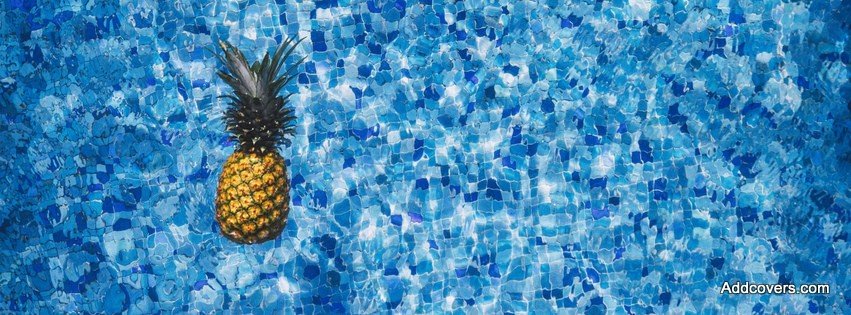 Floating Pineapple  {Colorful & Abstract Facebook Timeline Cover Picture, Colorful & Abstract Facebook Timeline image free, Colorful & Abstract Facebook Timeline Banner}