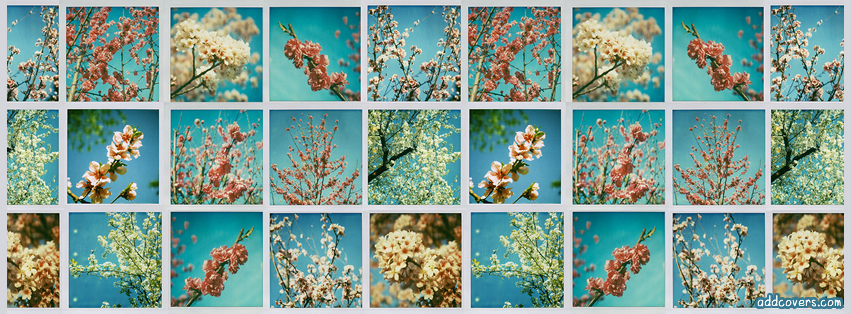 Flower Collage Facebook Covers