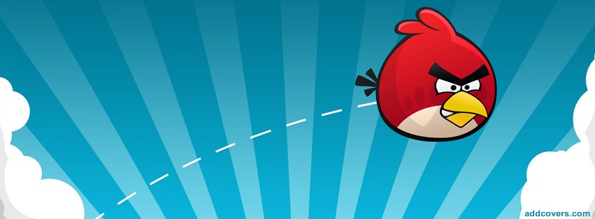 Angry Birds {Video Games Facebook Timeline Cover Picture, Video Games Facebook Timeline image free, Video Games Facebook Timeline Banner}