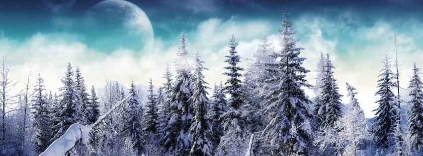Winter Forest {Scenic & Nature Facebook Timeline Cover Picture, Scenic & Nature Facebook Timeline image free, Scenic & Nature Facebook Timeline Banner}