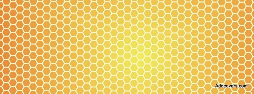 Honeycomb {Colorful & Abstract Facebook Timeline Cover Picture, Colorful & Abstract Facebook Timeline image free, Colorful & Abstract Facebook Timeline Banner}
