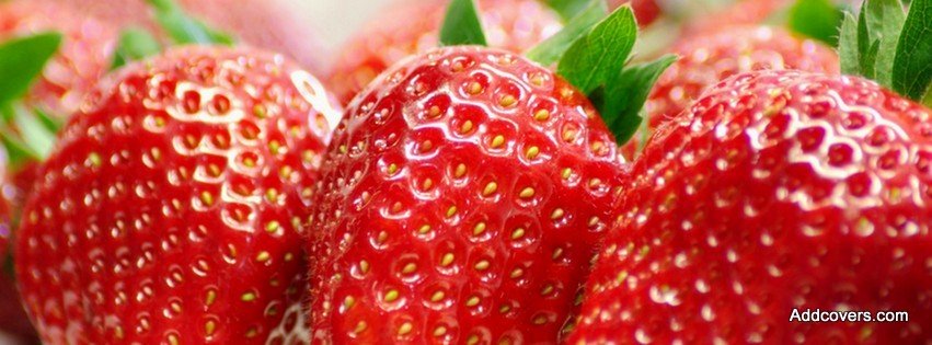 Fresh Strawberry {Food & Candy Facebook Timeline Cover Picture, Food & Candy Facebook Timeline image free, Food & Candy Facebook Timeline Banner}