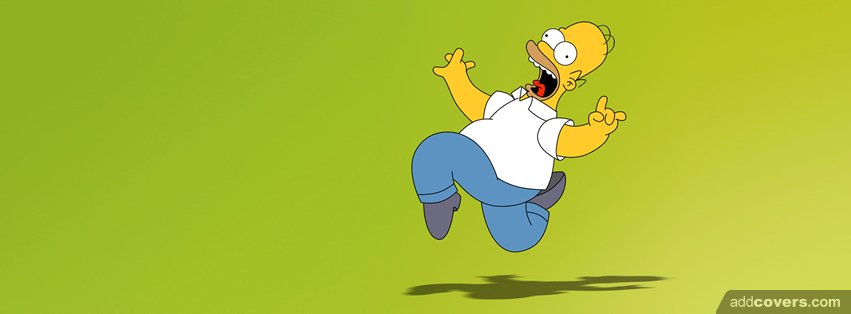 Homer Simpson Silly Facebook Covers