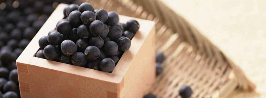 Blueberries {Food & Candy Facebook Timeline Cover Picture, Food & Candy Facebook Timeline image free, Food & Candy Facebook Timeline Banner}