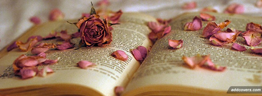 Rose Book {Pictures Facebook Timeline Cover Picture, Pictures Facebook Timeline image free, Pictures Facebook Timeline Banner}