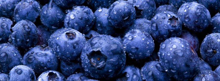 Fresh Blueberries {Food & Candy Facebook Timeline Cover Picture, Food & Candy Facebook Timeline image free, Food & Candy Facebook Timeline Banner}