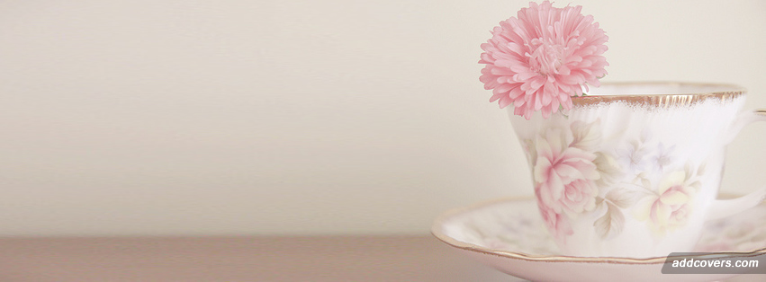 Tea Cup {Girly Facebook Timeline Cover Picture, Girly Facebook Timeline image free, Girly Facebook Timeline Banner}