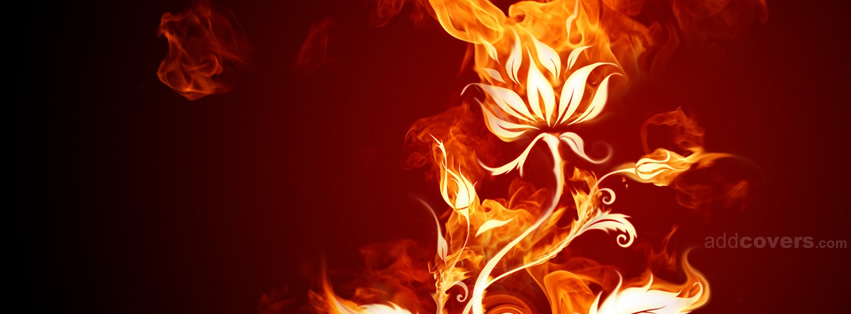 Fire Flower Facebook Covers