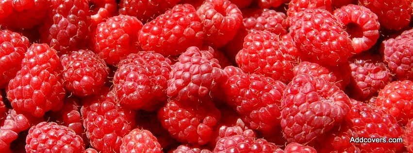 Raspberry {Food & Candy Facebook Timeline Cover Picture, Food & Candy Facebook Timeline image free, Food & Candy Facebook Timeline Banner}