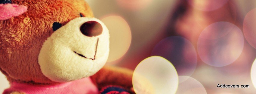Cute Teddy Cover Photos For Facebook Timeline For Girls