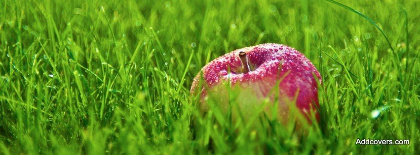 Red Apple on Green Grass {Food & Candy Facebook Timeline Cover Picture, Food & Candy Facebook Timeline image free, Food & Candy Facebook Timeline Banner}
