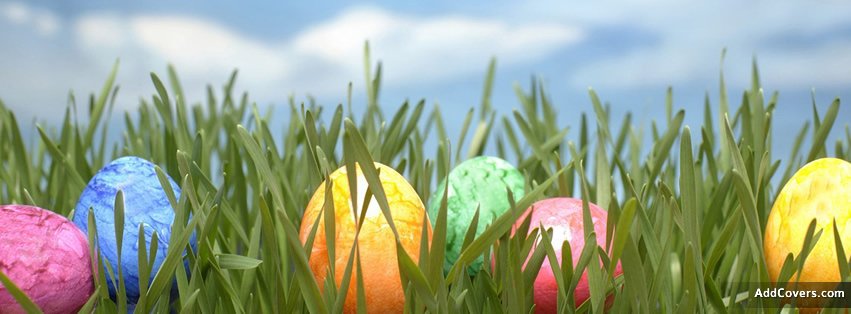 Easter Eggs {Holidays Facebook Timeline Cover Picture, Holidays Facebook Timeline image free, Holidays Facebook Timeline Banner}