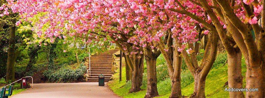Colors of Spring {Scenic & Nature Facebook Timeline Cover Picture, Scenic & Nature Facebook Timeline image free, Scenic & Nature Facebook Timeline Banner}