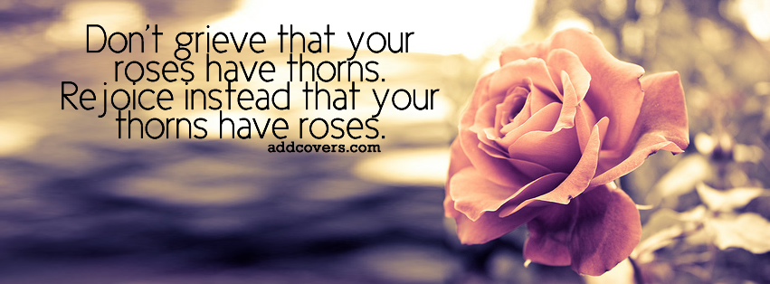 Roses have thorns {Others Facebook Timeline Cover Picture, Others Facebook Timeline image free, Others Facebook Timeline Banner}