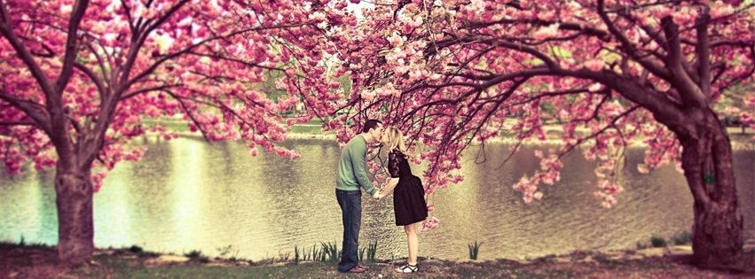 Sakura Love (Kiss among cherry blossoms) {Love Facebook Timeline Cover Picture, Love Facebook Timeline image free, Love Facebook Timeline Banner}