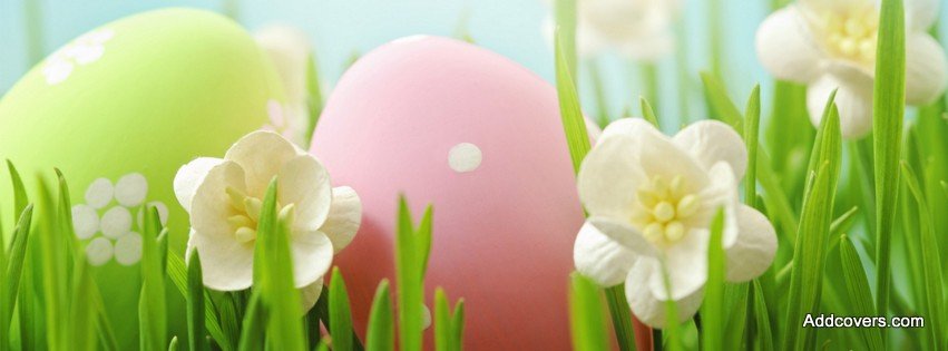 Easter Eggs in Grass {Holidays Facebook Timeline Cover Picture, Holidays Facebook Timeline image free, Holidays Facebook Timeline Banner}