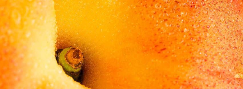 Apricot {Food & Candy Facebook Timeline Cover Picture, Food & Candy Facebook Timeline image free, Food & Candy Facebook Timeline Banner}
