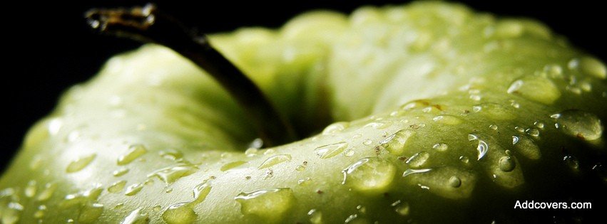 Green Apple {Food & Candy Facebook Timeline Cover Picture, Food & Candy Facebook Timeline image free, Food & Candy Facebook Timeline Banner}