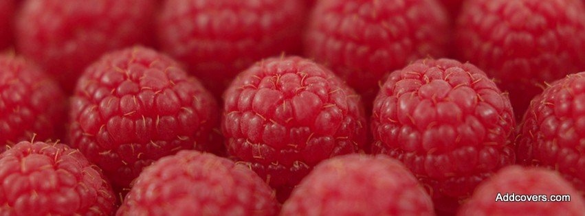 Raspberry {Food & Candy Facebook Timeline Cover Picture, Food & Candy Facebook Timeline image free, Food & Candy Facebook Timeline Banner}