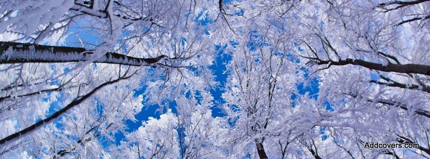Snowy Treetops {Scenic & Nature Facebook Timeline Cover Picture, Scenic & Nature Facebook Timeline image free, Scenic & Nature Facebook Timeline Banner}