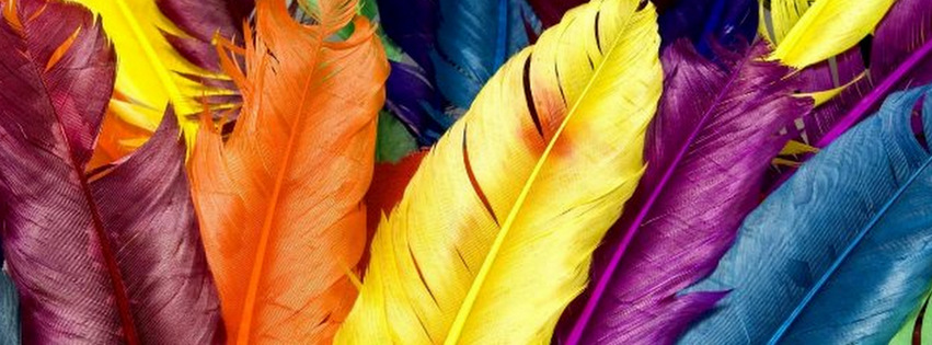 Colorful Feathers {Colorful & Abstract Facebook Timeline Cover Picture, Colorful & Abstract Facebook Timeline image free, Colorful & Abstract Facebook Timeline Banner}