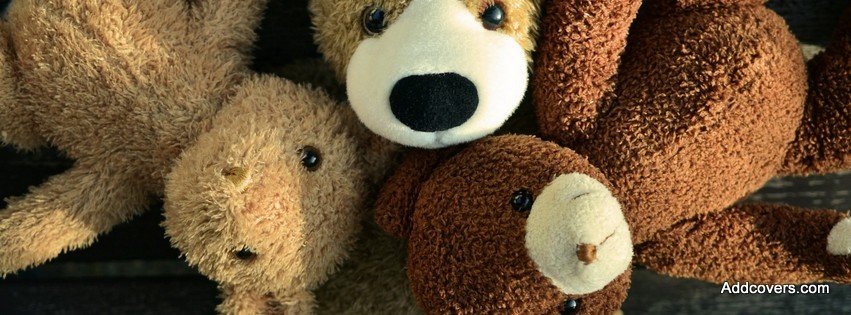 Three Teddy Bear {Cute Facebook Timeline Cover Picture, Cute Facebook Timeline image free, Cute Facebook Timeline Banner}