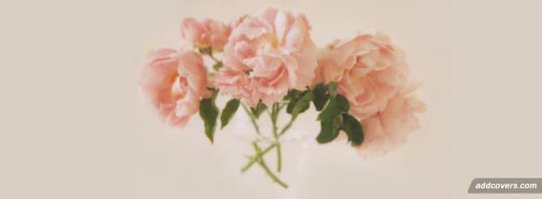 Pink Flowers