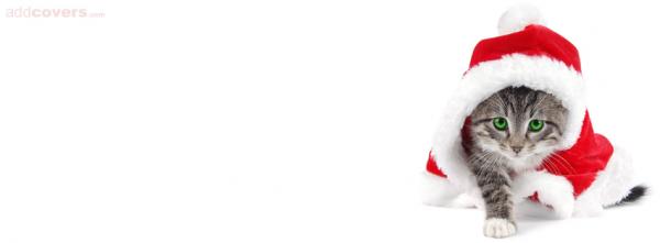 Kitty Santa