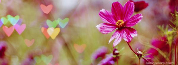 Cute Heart Flowers