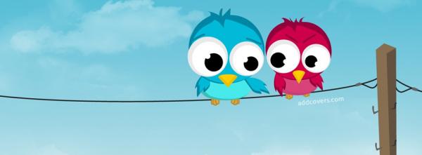 Cute Birds