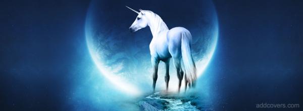 Unicorn Night