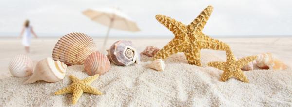 and Starfish {Scenic & Nature Facebook Timeline Cover Picture, Scenic ...