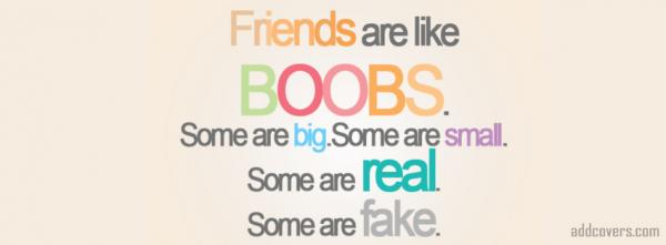 Friends are like