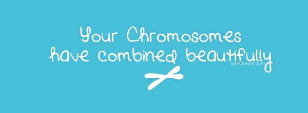 Chromosomes