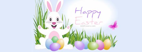 Happy Easter Bunny and Eggs