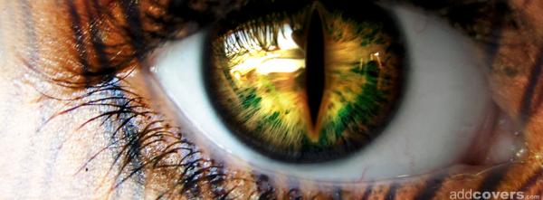 Cat Eye
