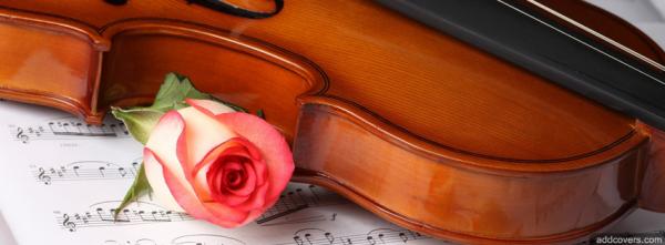 Violin and Rose