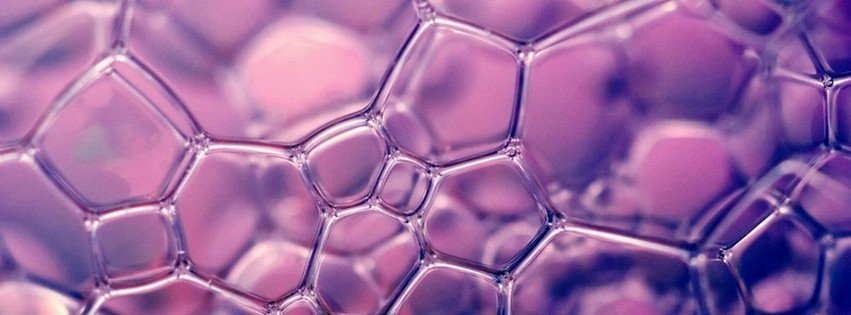 Light Purple Soap Bubbles {Colorful & Abstract Facebook Timeline Cover Picture, Colorful & Abstract Facebook Timeline image free, Colorful & Abstract Facebook Timeline Banner}