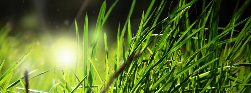 Green Grass {Scenic & Nature Facebook Timeline Cover Picture, Scenic & Nature Facebook Timeline image free, Scenic & Nature Facebook Timeline Banner}