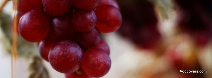 Red Grapes {Food & Candy Facebook Timeline Cover Picture, Food & Candy Facebook Timeline image free, Food & Candy Facebook Timeline Banner}