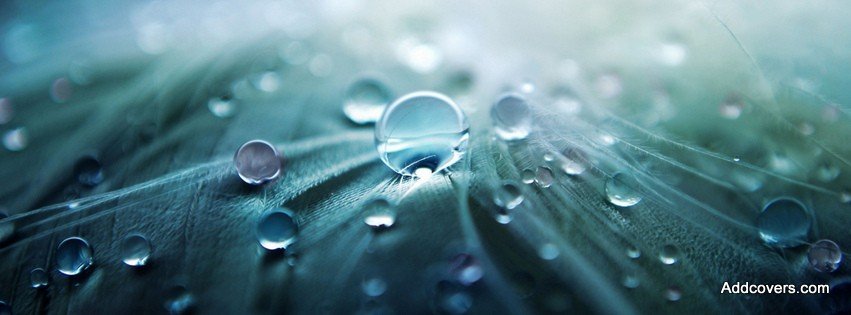 Drops {Scenic & Nature Facebook Timeline Cover Picture, Scenic & Nature Facebook Timeline image free, Scenic & Nature Facebook Timeline Banner}