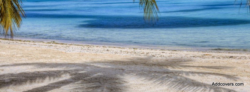Palm Tree Shadow {Scenic & Nature Facebook Timeline Cover Picture, Scenic & Nature Facebook Timeline image free, Scenic & Nature Facebook Timeline Banner}
