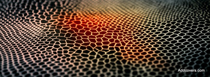 Animal Skin Pattern {Colorful & Abstract Facebook Timeline Cover Picture, Colorful & Abstract Facebook Timeline image free, Colorful & Abstract Facebook Timeline Banner}