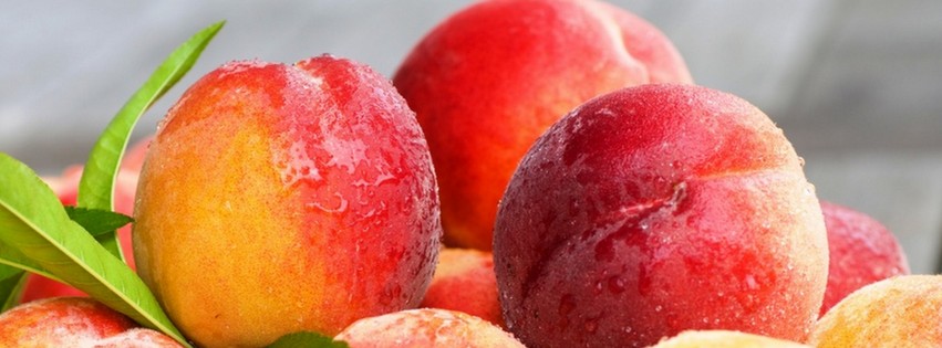 Fresh Peaches {Food & Candy Facebook Timeline Cover Picture, Food & Candy Facebook Timeline image free, Food & Candy Facebook Timeline Banner}