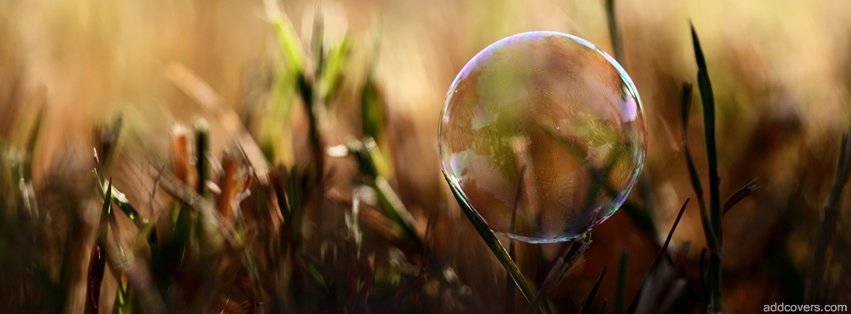 Soup Bubble Facebook Covers